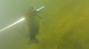 Подводная охота Малые реки Башкортостана