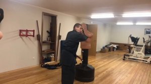 Дзёсинмон каратэ