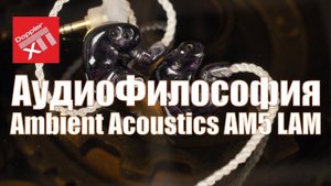 Кастомные мониторы Ambient Acoustics AM5 LAM