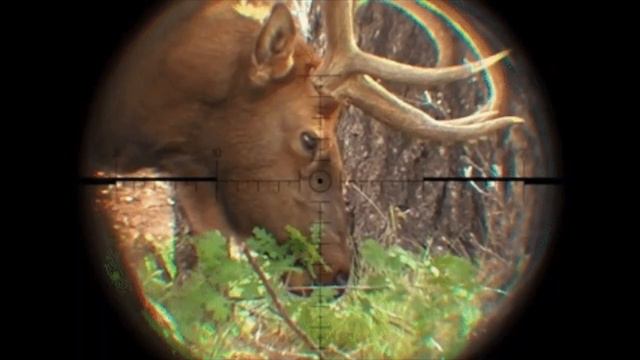 Leave No Tracks (Original Song, hunting, motorcycles, gps, global tracking, Lee Majors, bionic man) смотреть онлайн