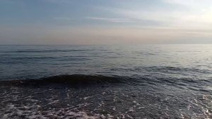 VID20230417181812.mp4