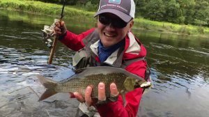 На что и как я ловлю голавля и язя в августе, новый конкурс и не только...