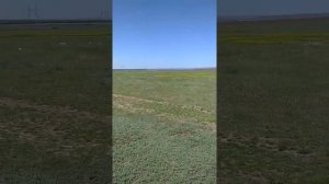 Преимущество панорамного Люка Ниссан Х трейл Т 31