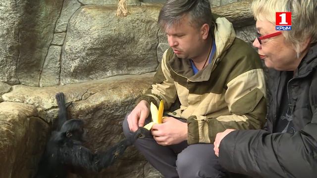 Клуб Шико смотреть онлайн