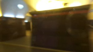 Метропоезд Санкт-Петербурга 9-76: метровагон Ема-502, б. 7133 - 1 линия (27.02.19)