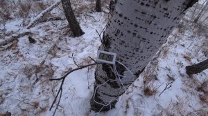 СТРОИМ ХИЖИНУ В ЛЕСУ ЧАСТЬ 3