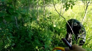 Грибы! Где, в Каком Лесу Искать Подосиновики!  Семейная Грибалка!!!