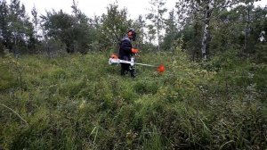 Stihl FS560 + hakkenuga