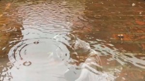 А  я люблю   осень