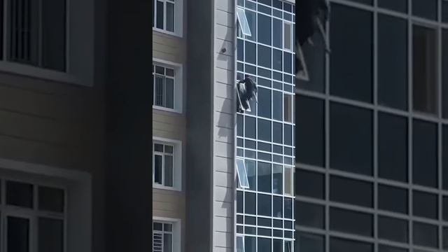 Спасение.