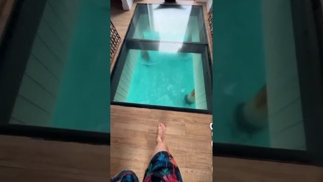 Звёздные Новости