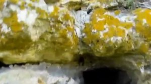 Арабатская крепость в Крыму