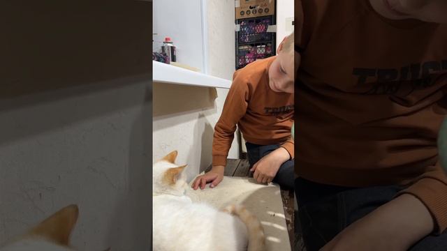 Вот и поговорили… а как всё хорошо начиналось!