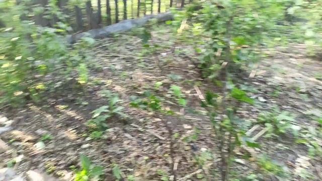 1. Новое место для туалета смотреть онлайн