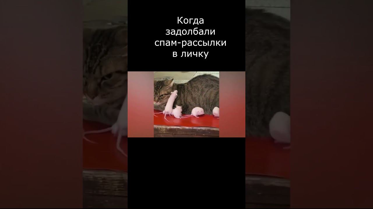 Когда задолбали спам рассылки в личку