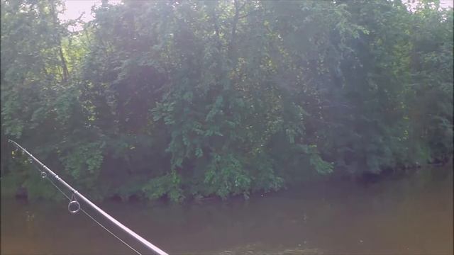 Алапаевский пруд 11 07 2018 смотреть онлайн