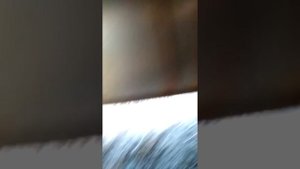 Перевозка железного гаража
