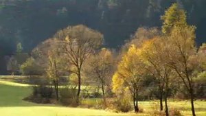 Песня: "Мне б забыть"