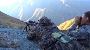 Охота на Козерога.