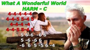 WONDERFUL -Минус для губной гармошки (PADDY RIHTER)