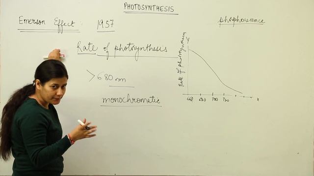 emerson effect l ICSE l SECTION B l CLASS 12 BIOLOGY l PHOTOSYNTHESIS l L113
