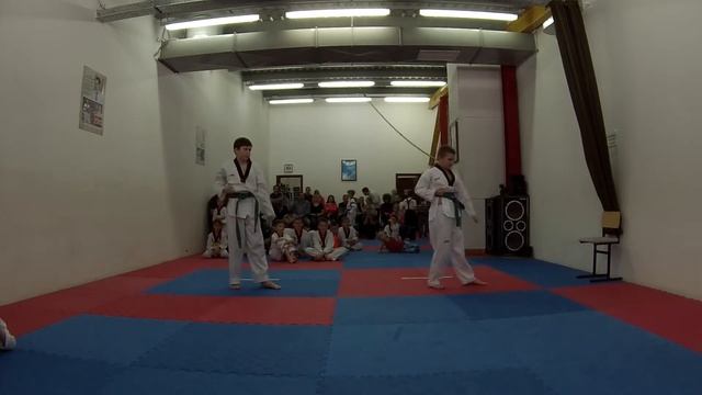 Тхэквондо (ВТФ). Алькор. Пхумсе. Гуряшин В.-Антишин Д. Кам1 смотреть онлайн