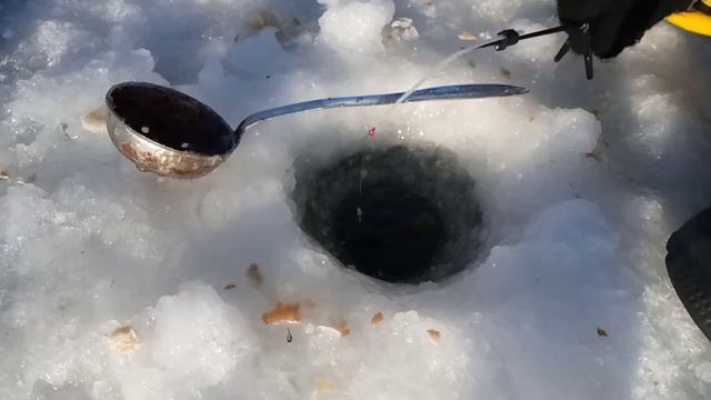 ПЛОТВА вылетает из ЛУНОК!!!Или как ПЛОТВА чуть не УТОПИЛА мой ТЕЛЕФОН!!! смотреть онлайн