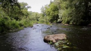 Fishing in a Fast-Flowing River