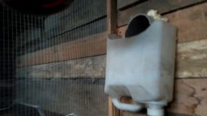 Вентиляция в курятнике,варианты, нюансы, возможные ошибки, методика расчета .