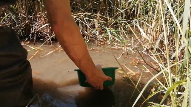 РАСШИРИЛ ШУРФ, НАШЕЛ КУСОК ЗОЛОТА!!! ЗОЛОТО ПОД ДЕРНОМ. Значки 3-4 мм. Добыча золота. Часть 2. смотреть онлайн