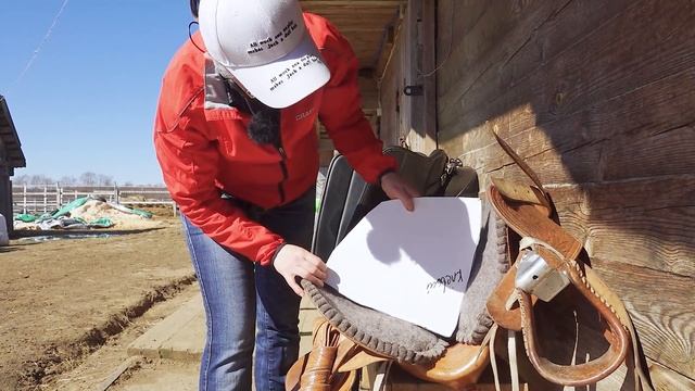 Как подобрать седло для лошади. Изготовление шаблона. смотреть онлайн