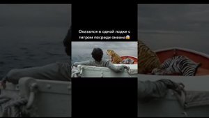 Оказался посреди океана в одной лодке с тигром #тигр#лодка#океан