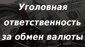 Уголовная ответственность за операции с валютой в России. Курс доллара / Экономика / Рынки