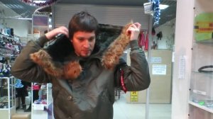 Куртка N-2B Parka Alpha Industries Sage Green