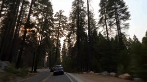 Road, Sequoia National Park, California, USА, Національний парк Секвойя, Каліфорнія, США