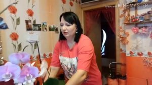 КАК ПОЛИВАТЬ ОРХИДЕИ ФАЛЕНОПСИС!?ПРАВИЛЬНЫЙ ПОЛИВ ОРХИДЕИ!?УХОД ЗА ОРХИДЕЯМИ ФАЛЕНОПСИС!?НОВОСТИ!