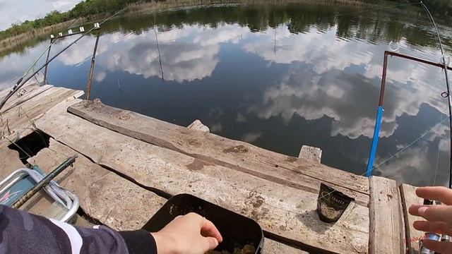 Ловля карпа на попкорн. Хотели наловить карася, а наловили карпа! Рыбалка май 2020 смотреть онлайн