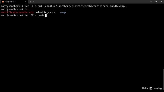 2.2_Install Fleet Server - 2. Elastic Agent and Fleet| Learning Elastic Stack смотреть онлайн