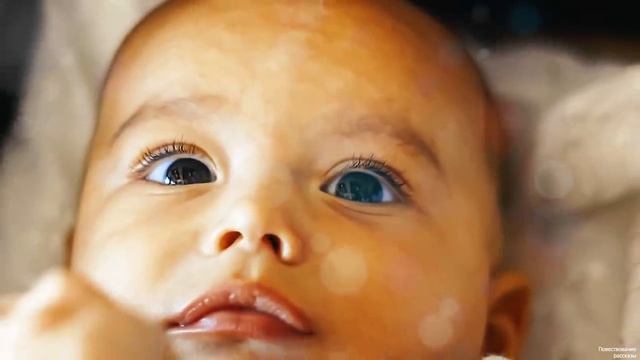 Пассажиры отставили ее в такси, водитель собрался сдать ее, но тут увидел документы… смотреть онлайн