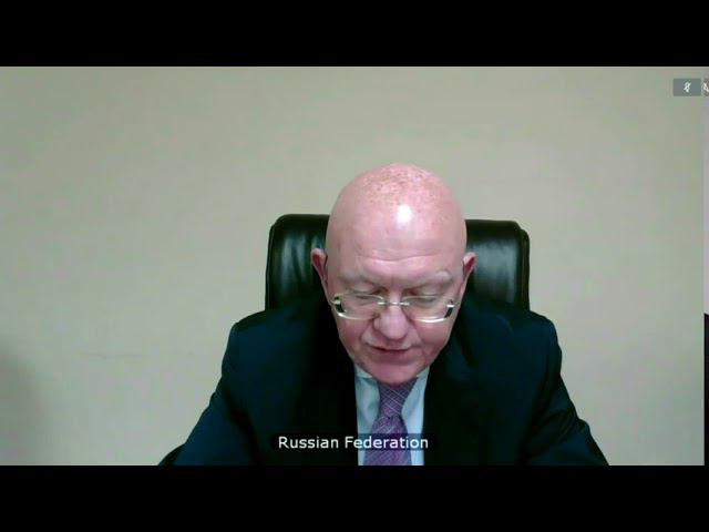 Statement by Amb.Nebenzia on addressing the issue of linkages between terrorism and organized crime