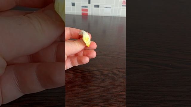 Как избавиться от фурункула на руке. Последствия смотреть онлайн