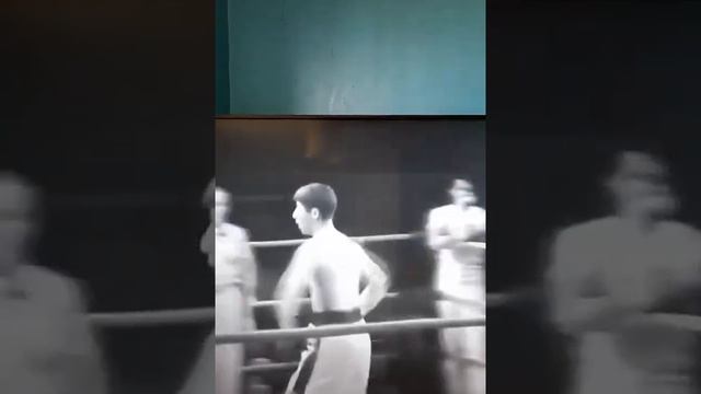 Танцующий боксёр, первый раз такого вижу! :))) смотреть онлайн