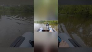 Лодочный мотор из гироскутера и косы