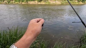 Рыбалка на спиннинг на Хопре. Первый раз в жизни джигую! Не судите строго я только учусь!