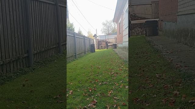 Пробую рекурсивный лук смотреть онлайн