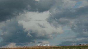 Flightory Talon 1400 - Automatic Take Off