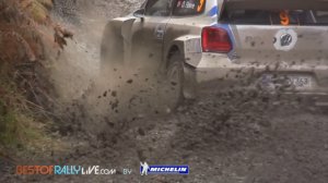 Shakedown - 2014 WRC Wales Rally GB