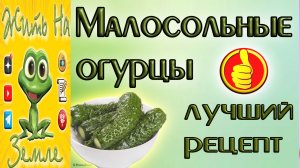 Малосольные огурцы. Простой, быстрый и вкусный рецепт малосольных огурцов.