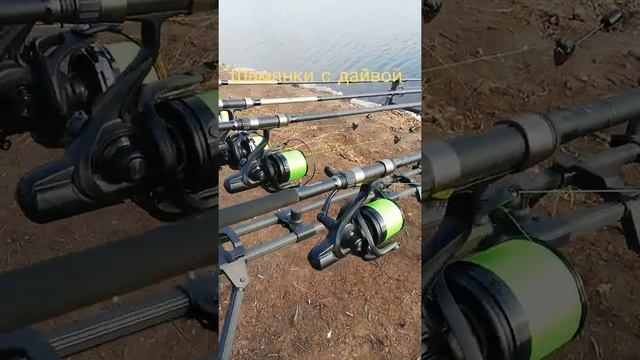 род под #рыбалка #карп #сазан #русик #shorts #tiktok #reels #trending #fishing #hunter