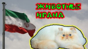 Животные Ирана